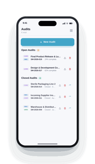 Standard Auditing app — audits screen